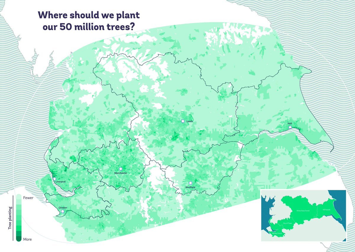 More #trees mean better health. They clean our air and cool the temperature in our cities. Planting more trees means investing in our future health - more trees mean a stronger society.

Projects like the #NorthernForest are vital in this regard: woodlandtru.st/XTl6Z #RBSEU