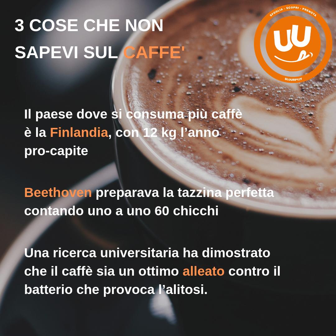 ☕️☕️☕️ Tutte le cose migliori succedono dopo il primo caffè...
sluurpy.it