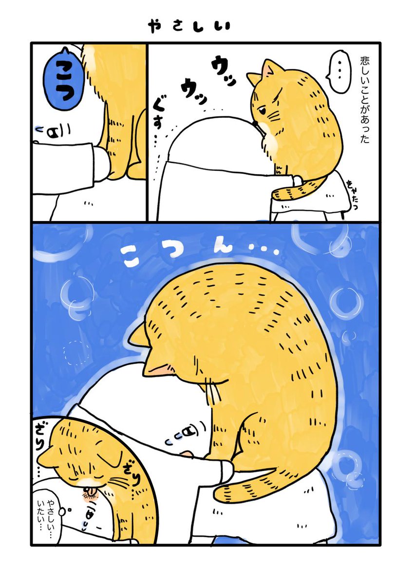 よりそうねこ 