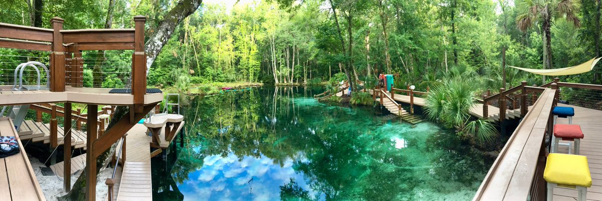 TheSpringKings's tweet image. 