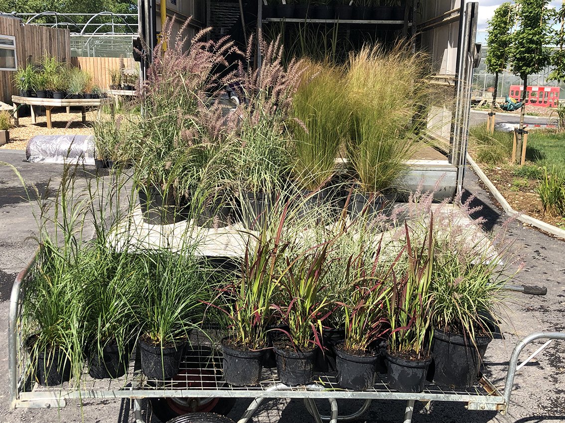 Busy day setting up the stand at <a href="/BBCGWLive/">BBCGWLive</a> BBC Gardeners' World Live. Fingers crossed for sunshine! #ornamentalgrasses