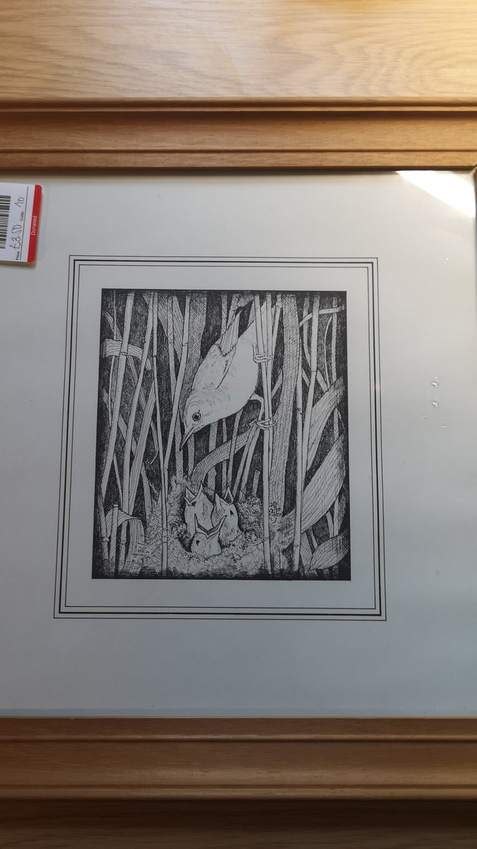 Fen shuffler 🦢🚲🌍 tweet media