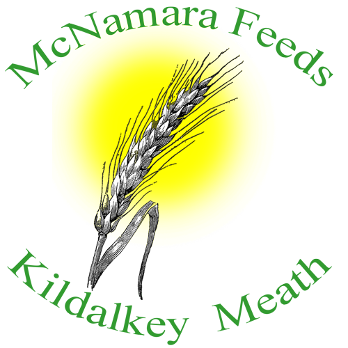 Trim Athletic Club tweet media