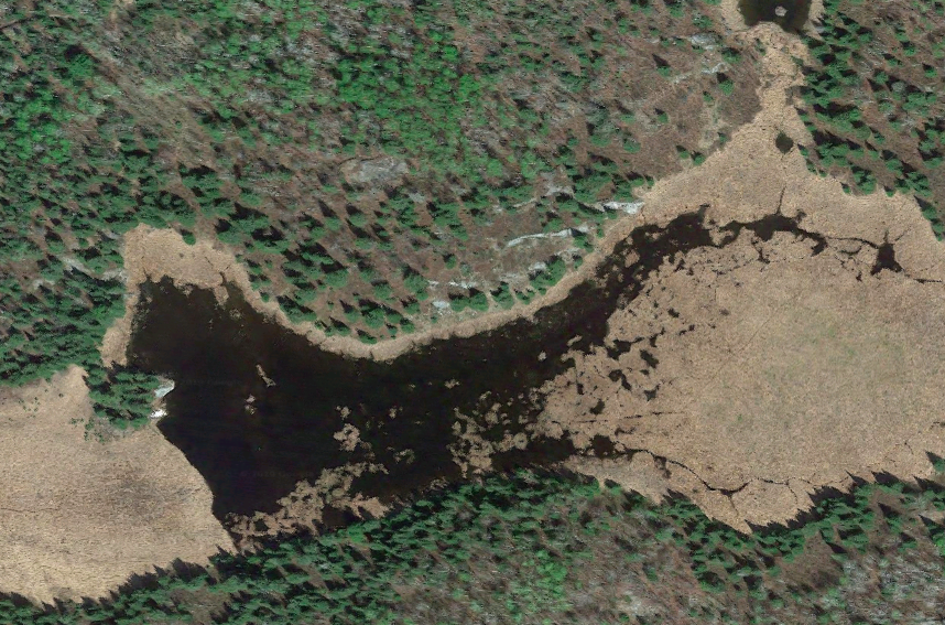 ben_a_goldfarb's tweet photo. One activity I will never get tired of: admiring beaver-created features in Google Earth. https://t.co/uHKtsycBSQ