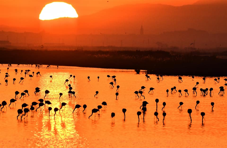 No es África es Doñana Veta la Palma el paraíso