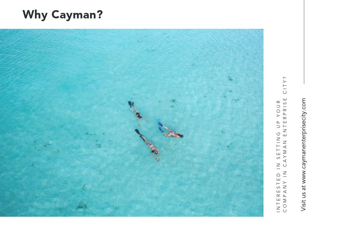 CEC_Cayman's tweet photo. Whats life like in Cayman?
Take a little scroll through This is Cayman blog post - "How to Spend the Perfect Weekend in Cayman" to find out!
https://t.co/t449w4Ct5M
We are sure you will find something to excite the senses.
#thisiscayman
Photo by:This is Cayman https://t.co/hKjKMiOgv7