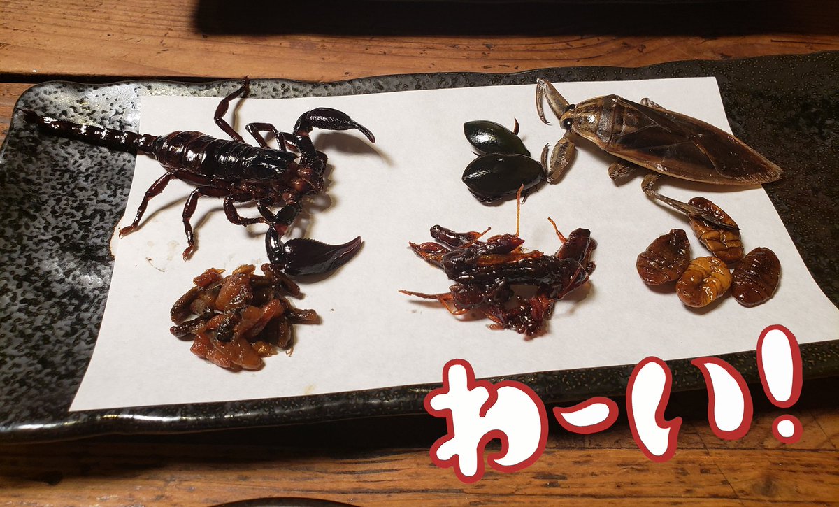 ゆみそ 優魅 Yumi در توییتر この日は ゴキブリ酒とかミミズ酒とか飲んでました ゴキブリ酒が全然癖なくて飲みやすかった ٩ ๑ ᴗ ๑ ۶ また行きたいなー あと ざざむしがめっちゃ美味しかった