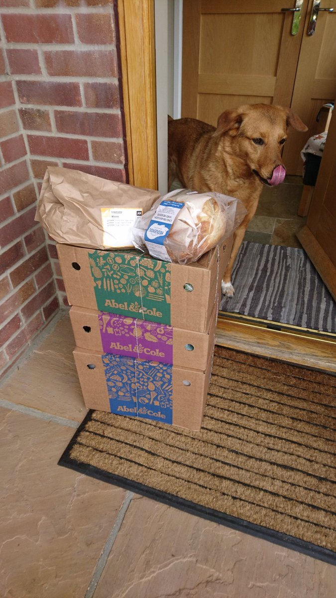 apmoo2017's tweet photo. @AbelandCole thanks for delivering my #WakeUpToOrganic https://t.co/Rm7UaoBbkE