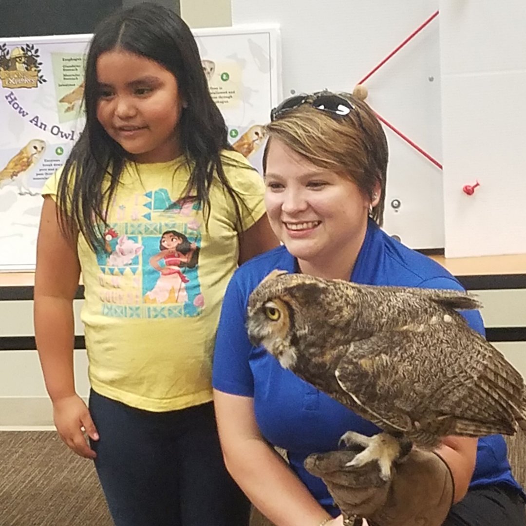 pbclibrary's tweet photo. Greenacres Branch will be a hoot this summer! Join us by exploring new activities, events and finding the best places to read! These participants enjoyed learning about owls and all the fascinating things they do! #PBCLSReads #2019SRP #pbcLibrary https://t.co/9R12FvgQqE
