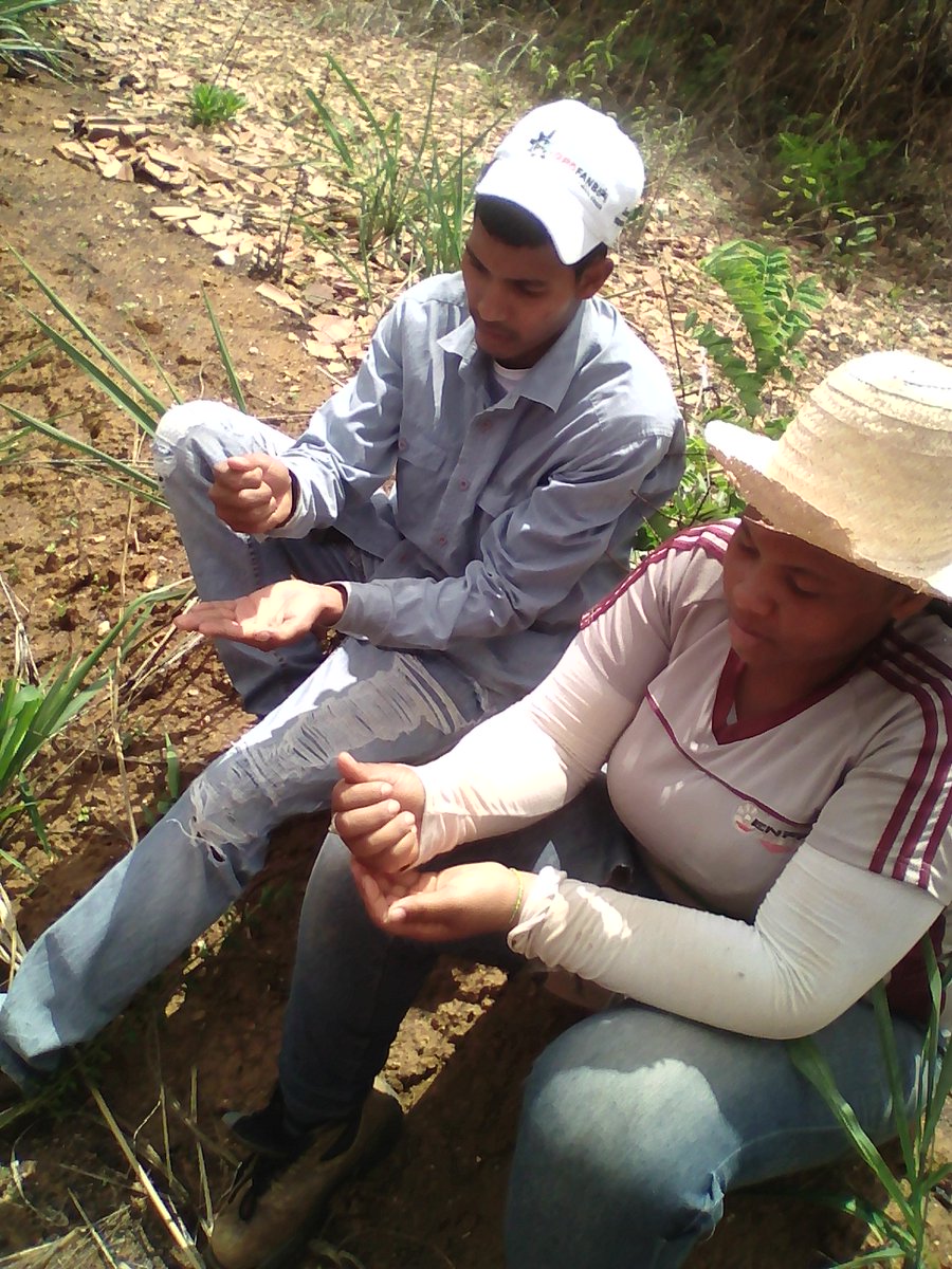 FFMPazCastillo's tweet photo. Vamos con todo 100% manos a la obra en la producción, luchando juntos todo es posible... 
#PazCastilloPotencia https://t.co/P0HF9qZwsr