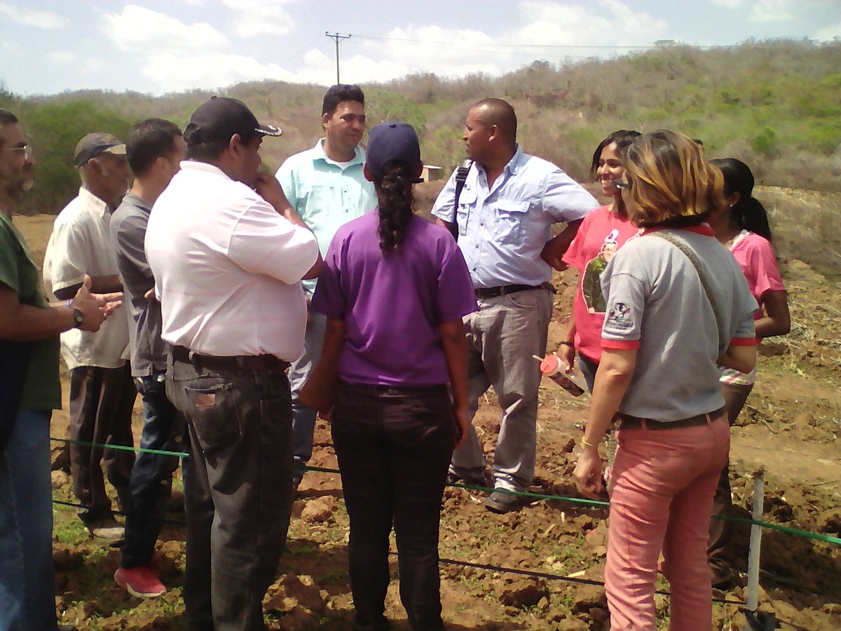 FFMPazCastillo's tweet photo. Vamos con todo 100% manos a la obra en la producción, luchando juntos todo es posible... 
#PazCastilloPotencia https://t.co/P0HF9qZwsr