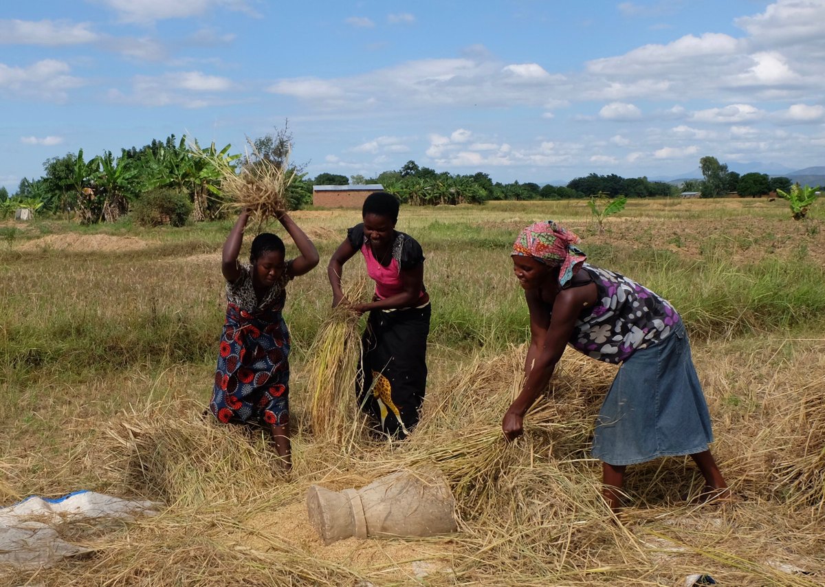 Meet the People tweet media