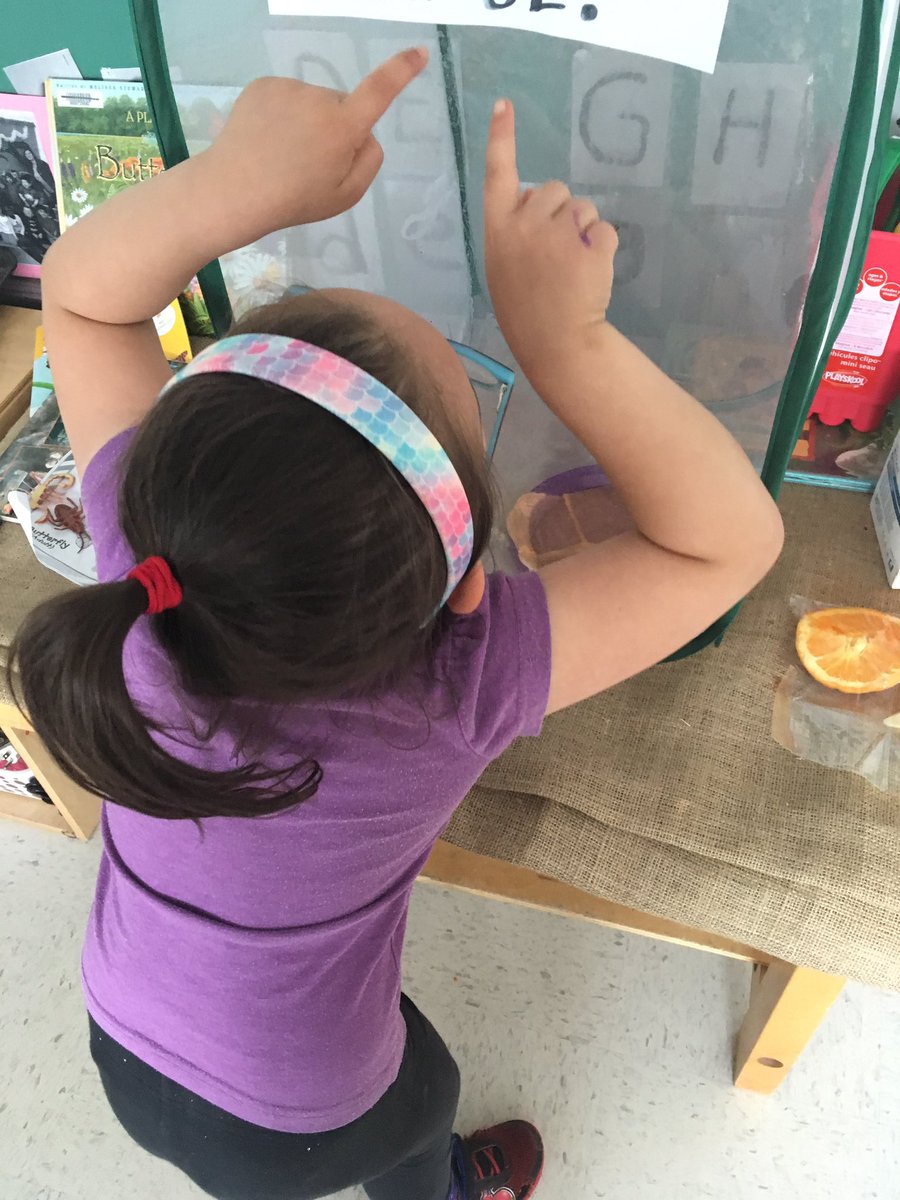 KindertownJS3's tweet photo. We have butterflies!!! 
M is for “Magic day” 
and hanging outside in the sunshine. 🌞
#LUKocsb #ocsbKinder https://t.co/DNNlTLmhnl