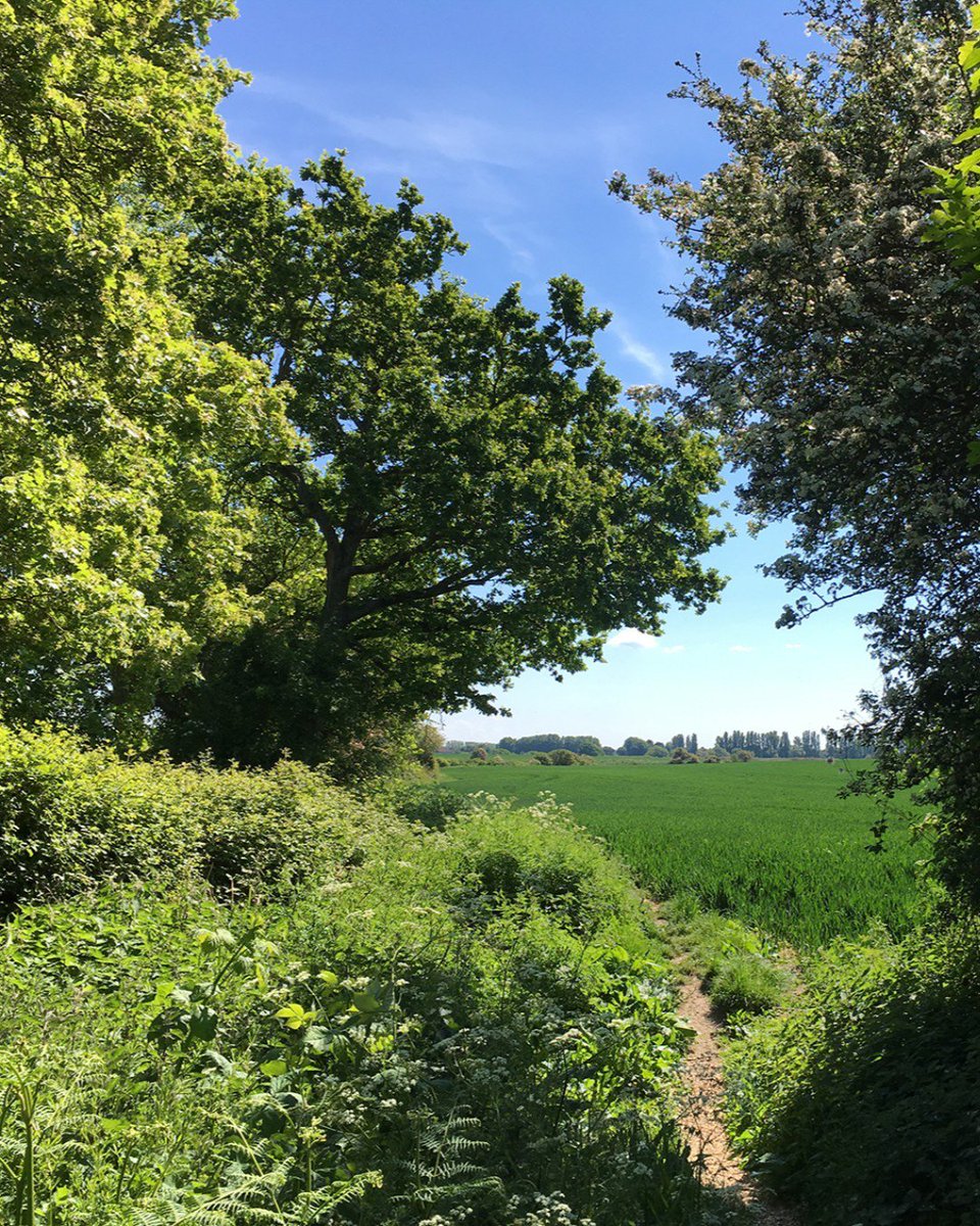Looking forward to starting work this week on a new interpretation panel for The Dell at Chidham #interpretation #communitywoodland #naturereserve <a href="/ChiHarbourTrust/">Chichester Harbour Trust</a> #chichesterharbour #aonb #westsussex #chichester #informationpanels