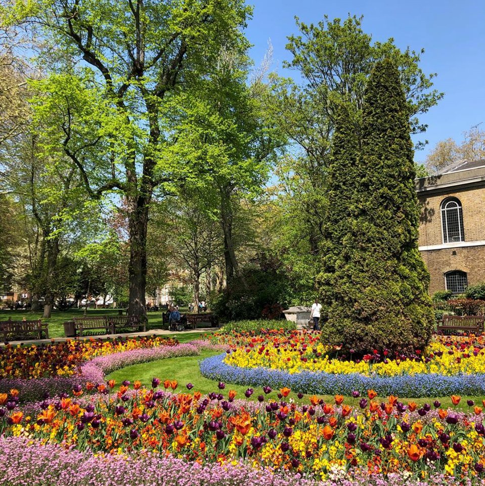 Spring vibes @ Regent's Park 😍

📸: freyajessica on IG