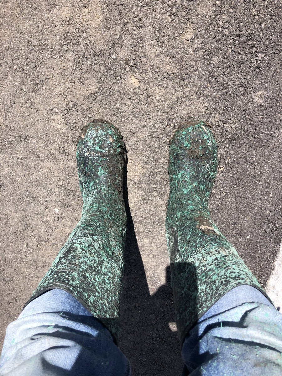 rvcontracting's tweet photo. Anybody else have a set of boots that look like this #hydroseed https://t.co/EByFCKgOba