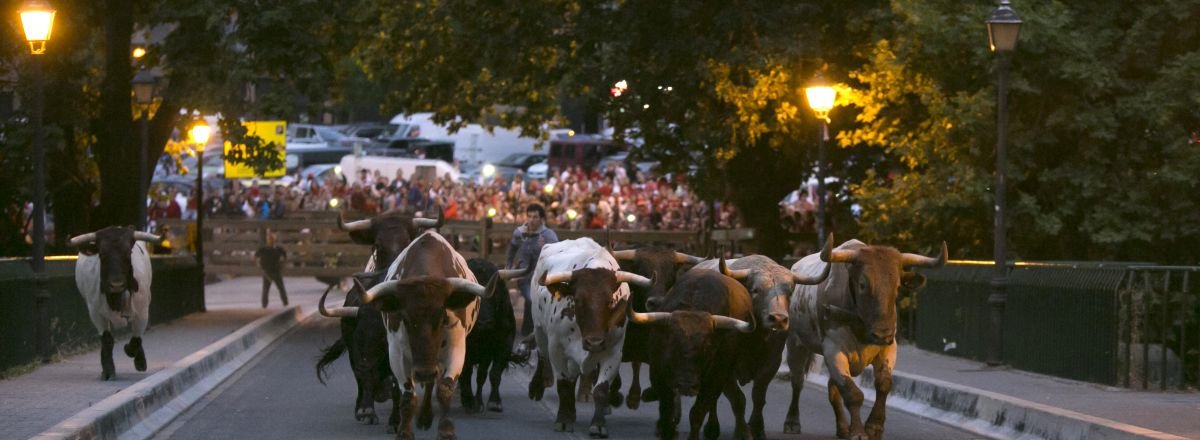 Pamplona_ayto's tweet photo. 🐂🔻#SanFermin
Hoy se han sorteado los pases para el #encierrillo entre los 9.275 ciudadanos que los solicitaron
Gaur zozketatu dira #entzierrillo|rako txartelak 2019ko entzierrilloetako bat ikusteko eskaera egin duten 9.275 herritarren artean
+INFO: [CAS] https://t.co/zkjvMdP5l8 https://t.co/5WxAcNXrtH