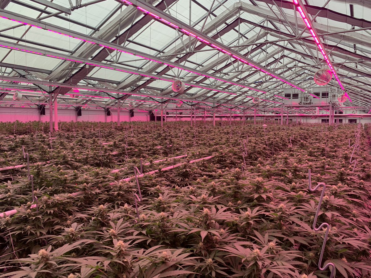 Good morning from LHS 360!

#mmj #floridammj #cannabis #medicalcannabis #dispensary #florida #LiveFree