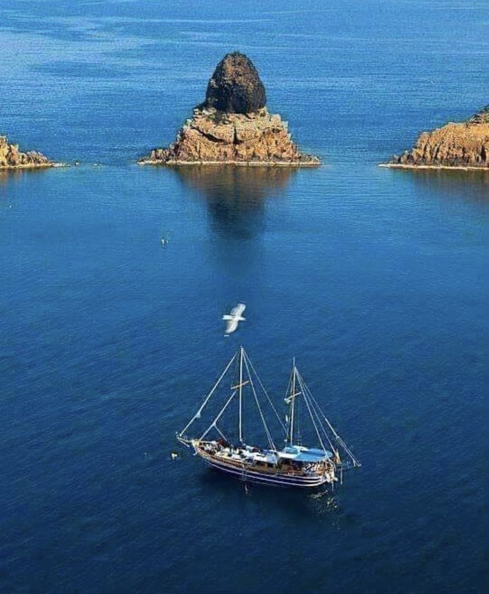 m_studart's tweet photo. @Rossyccb @NiimiFan @ElbaklySami @lob_lily @yaidunohannji @heroldbarton @ZXZX01111 @carrionnancy17 @Silau25 @antoniaparra8 @marinavibu609g @Yony54967643 @angsala67 @JadavRashmin @NoemRosales3 @emadothman3 @SnowWhiteRina @ZEYNAZERDA @grandesol2016 @MhkAltaiy @otrogoga60 @SSomjook @SKID1144 @LFSRS @America23617306 @Chandra1Vinod @love_somka @VipEurope5 @CristinPereyra @ThShaher @ArtsandScents @followtrickvip @essa72161293 @Shemaiko2018 @Kamar_Leilak @aldwon_khaled @company_007 @ftrickxvip @ftrickxpop @deathangelemsj @Followtrick_P0p @specialistonly1 @WreckingRoyals @666_alhlwan @fhelp247 @FTrickFT @linari_luca @MamCivi @monicasloves https://t.co/Szspeml4hc