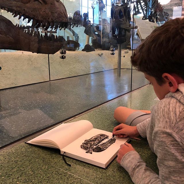 Sketching yesterday at  @amnh. Art + dinosaurs. #drawnyc #projectknowmad #riverdaleexperience #learnersforlife #experientialed bit.ly/2RaSJxo