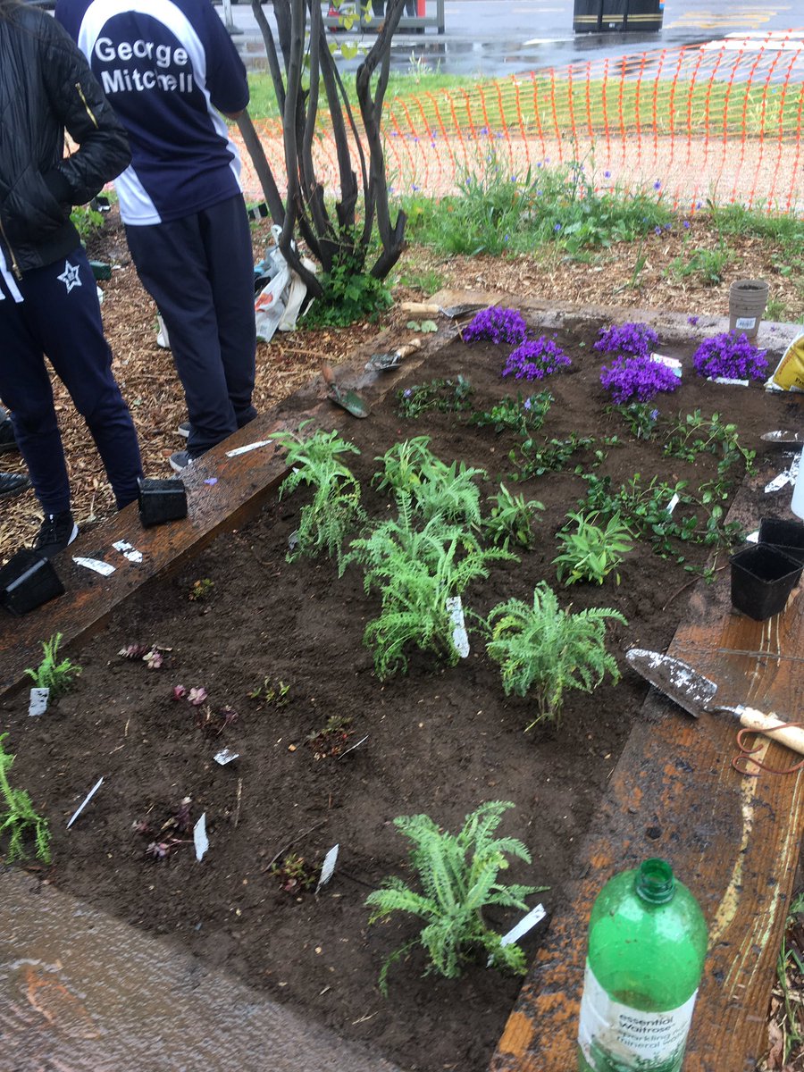 lucyhharrison's tweet photo. Well done to the @gmatschool students who braved the rain to plant their raised bed in Linear Park! Hoping the weather will be better on their next visit @MatterArchitec @wfcouncil @WFculture19 @LDN_environment #makingplaceswf https://t.co/OLEhbMSm2o