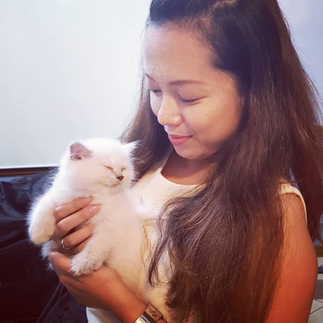 PAMpatamis's tweet photo. I'm a Cat Mommy 😍
#Cat 
#HALOkitty https://t.co/mFLBe9hNFZ