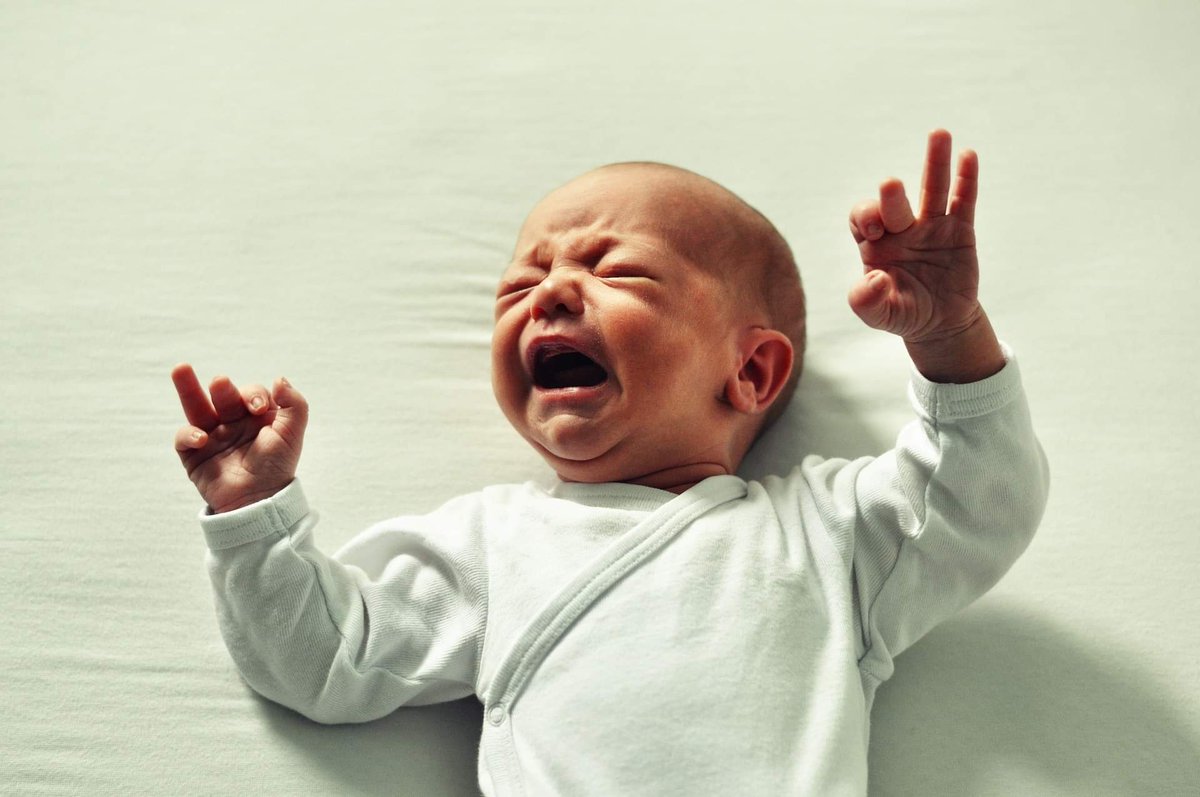 ThriveChiroDFW's tweet photo. "CHIROPRACTIC FOUND BETTER THAN DRUGS FOR CHILDREN’S EAR INFECTIONS"
We love when our kiddos THRIVE. 

https://t.co/wuyr34sJZQ

#kellerchiropractor #kellertx #keller #kellermoms #kellerkids #kidsthrive #keepitinkeller #keepitkeller #southlaketx #roanoketx #northrichlandhills https://t.co/iPiVHqUcST