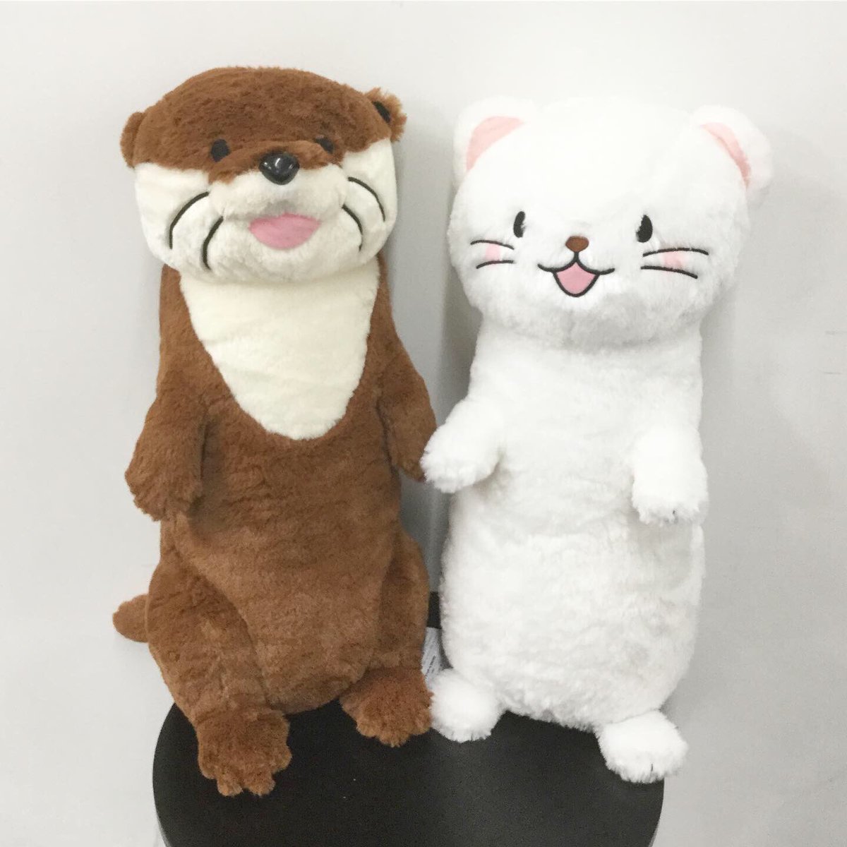 M Bworksたかむらすずな Sur Twitter いたちーずワンダーランド のオコジョとカワウソの大きなぬいぐるみ 今週末頃から店舗に登場 今日は おこやまずくし ラジオの収録があったので新田さん 降幡さんとオコジョの写真を 前回のオコジョより一回り小さいサイズ
