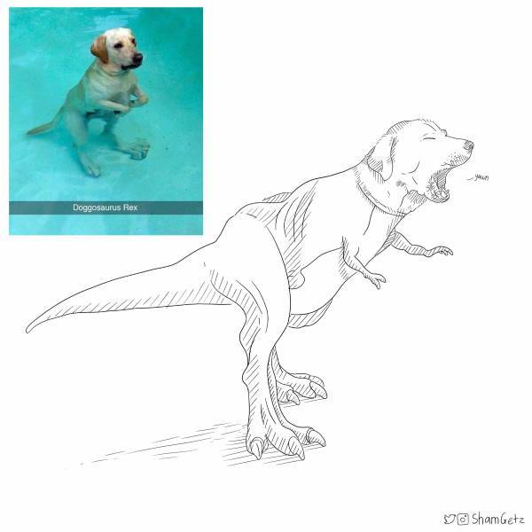 Tailtale_tech's tweet photo. "Doggosaurus Rex" Credit: ShamGetz on Instagram😂 https://t.co/pCfCDkHkTv