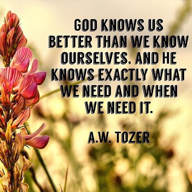 MMChurchNJ's tweet photo. The Bible shows what an immense care God has for His whole creation; especially for each one of us. #BibleStudyWednesday is a great opportunity to delve into verses about God's thoughts toward us! Wednesdays | 12 noon and 7 pm!
#MessiahBaptistChurch
#MessiahMovement https://t.co/RNztBPY9YG