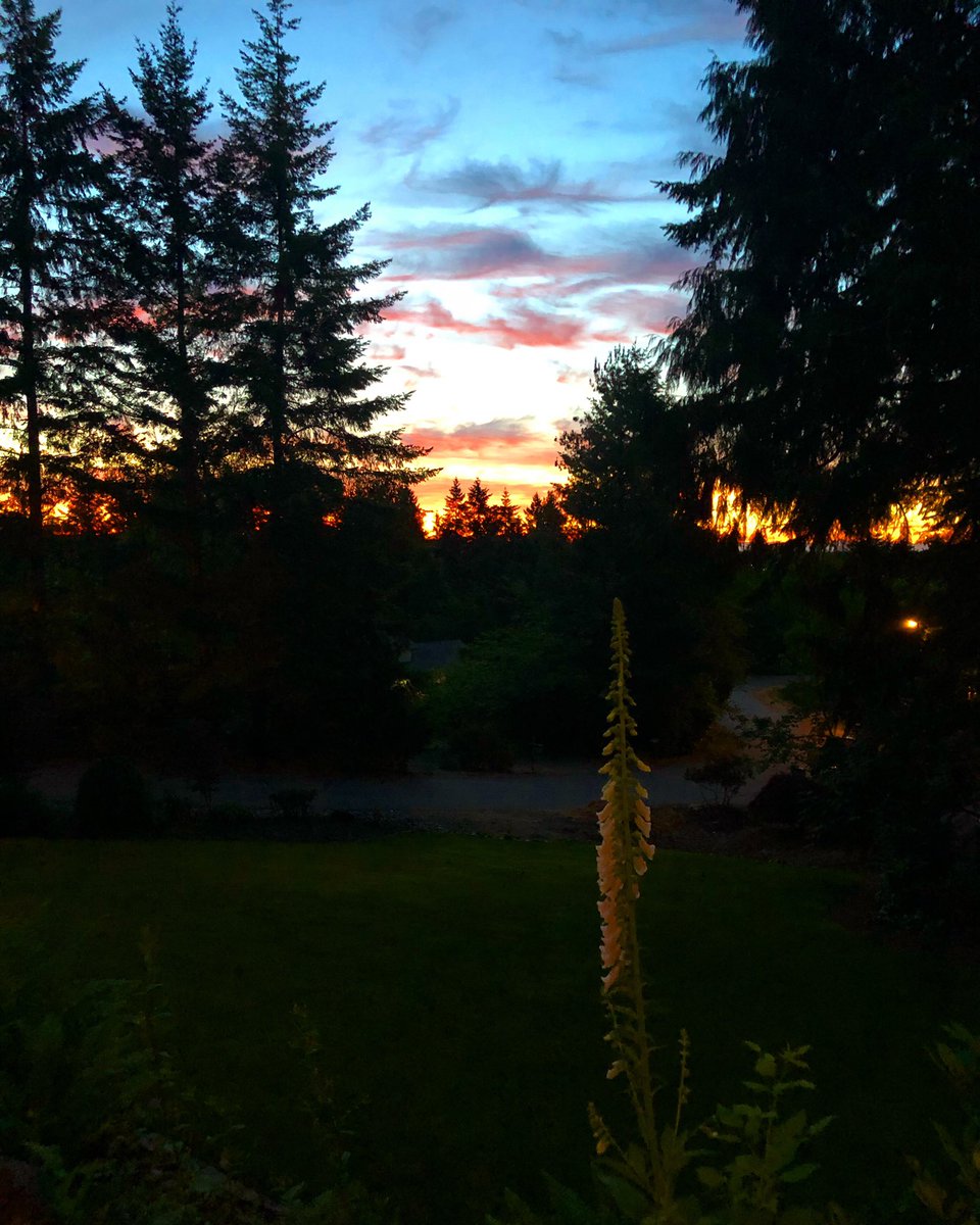 MaMaDaDaHaHa's tweet photo. This mornings sunrise... happy Wednesday Tweeters! https://t.co/7VjvjuO04a