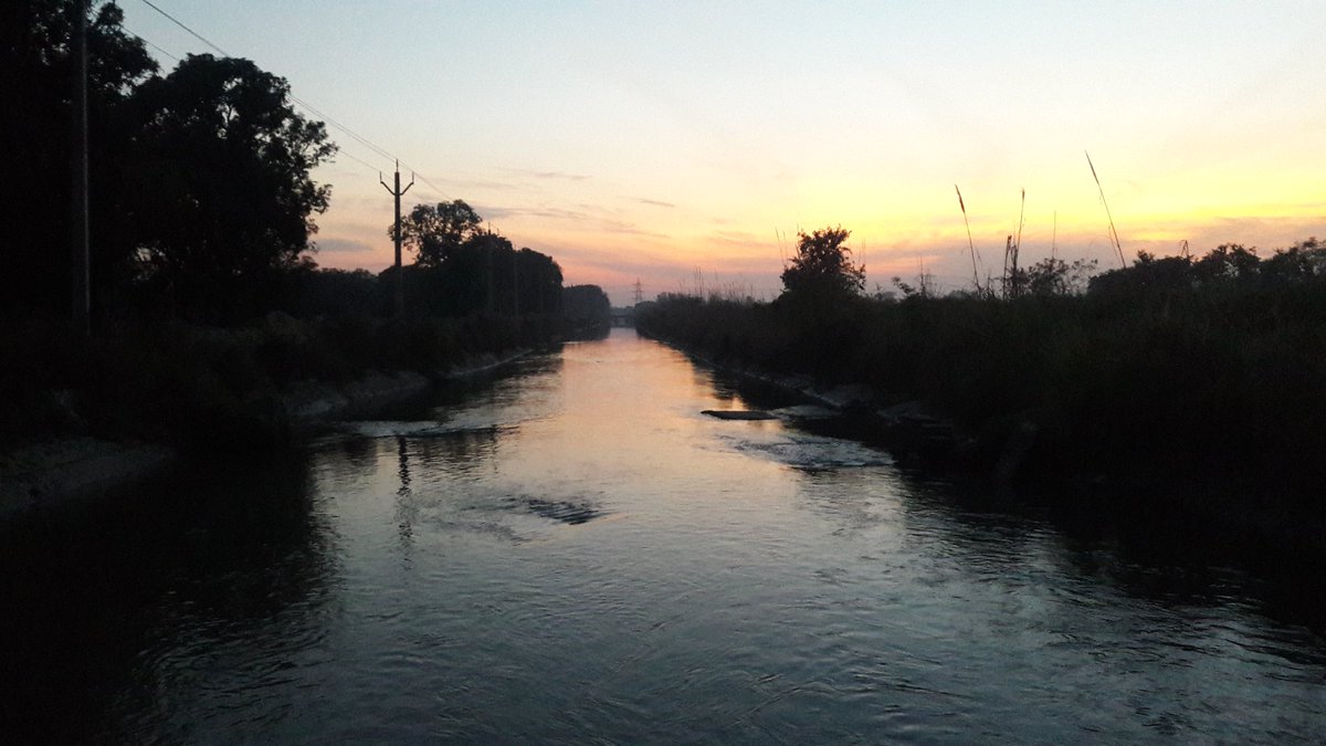 Sarjna Rai (@sarjnarai) on Twitter photo 