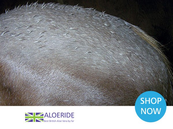 Soaked due to yellow rain warning for large part of Britain ow.ly/2iU450uCkQK