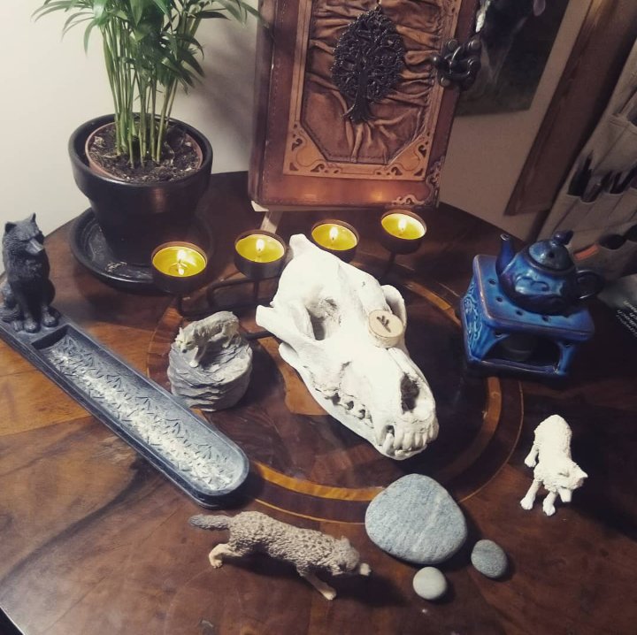 vvarulf's tweet photo. (Prawie) Ołtarzyk.⠀
Pusta księga, kadzidło, olejki, czaszka, runa, zieleninka i kamienie.⠀
⠀
#wolf #wolsskull #incense #incensestick #magic #magocplace #wicca #pafan #seidr #asatru #runes #rune #fehu #plant https://t.co/KMgJiLcZt4