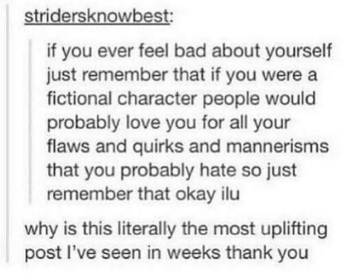 Anna Todd tweet media