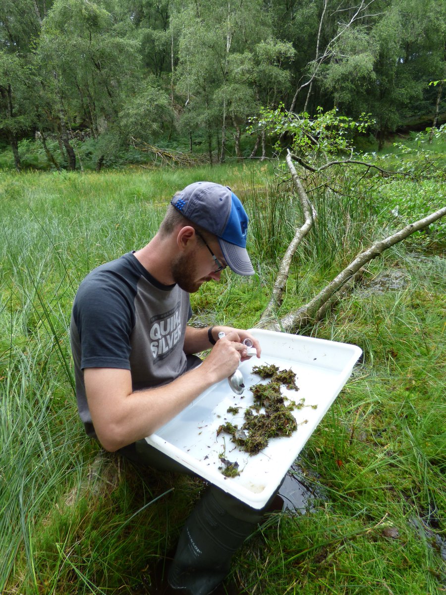We've had our first project paper accepted!! 🍾 😀
Lead by <a href="/AlanLaw_/">Alan Law</a>, we test the effectiveness of aquatic plants as surrogates for wider biodiversity. Further updates coming soon....