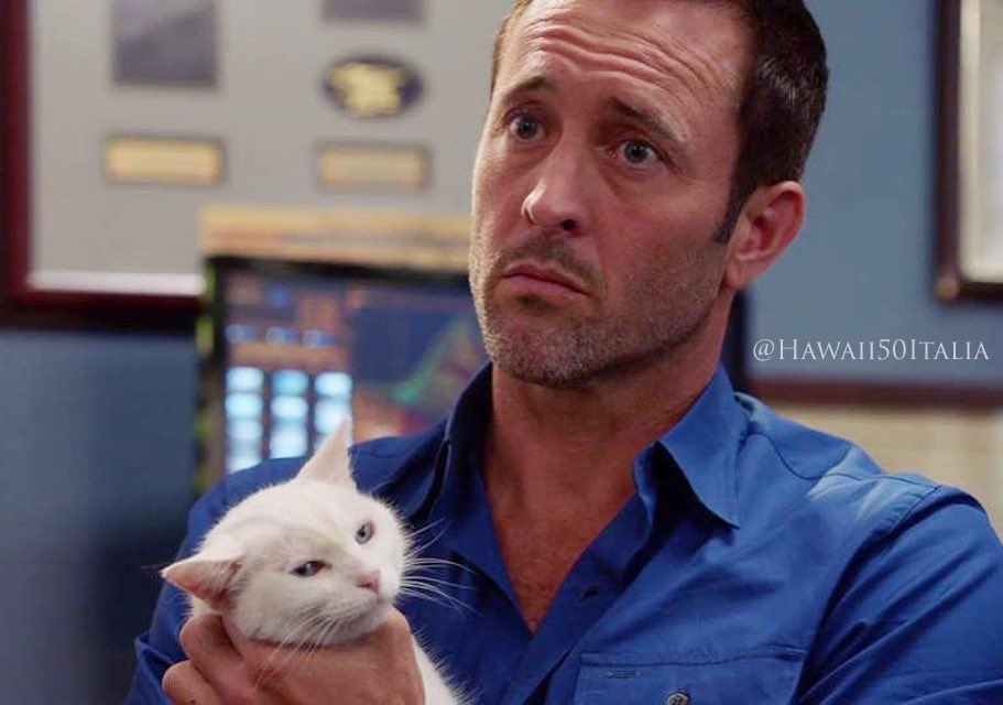 stellagioia's tweet image. #mood
#IsItSeptemberYet
#H50