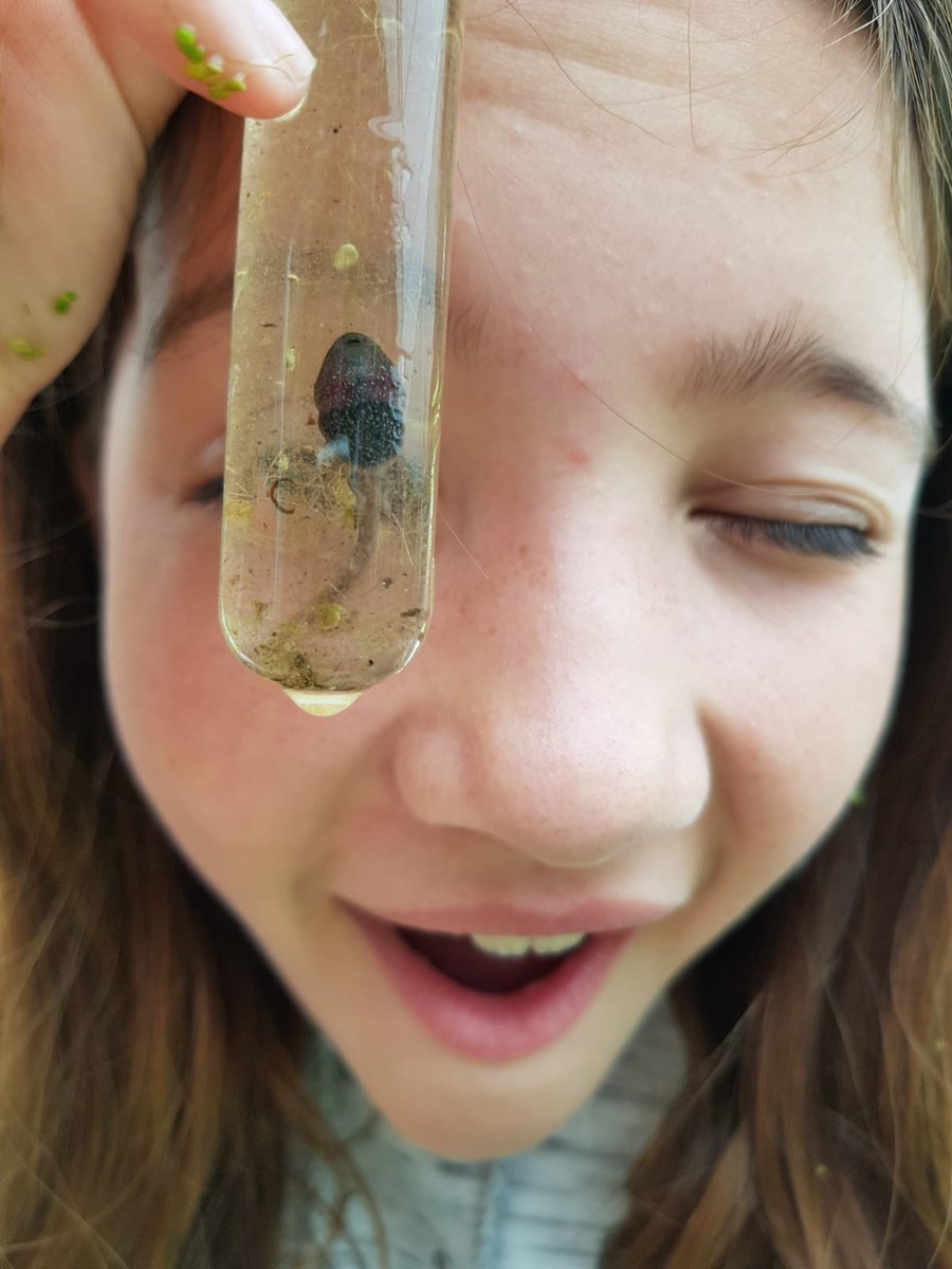 jtwhiteside1's tweet image. Just another day of sheep shearing, butter making and species counting down on La Ferme Européenne des Enfants...