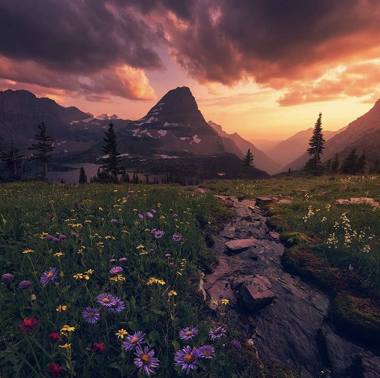 glaciermt's tweet photo. Sunsets and wildflowers — is there anything better? 

📷: Arpan Das Photography 
#GlacierMT #Montana https://t.co/zbVrsbtDPW
