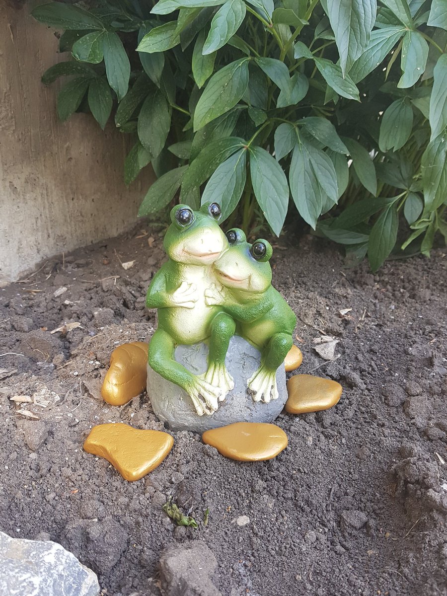 amelia197047's tweet photo. Gold nuggets or chicken nuggets for our flower garden and froggy's #frogornament #flowerbed #flowerbedornament #yeg https://t.co/VrgvheLv5F