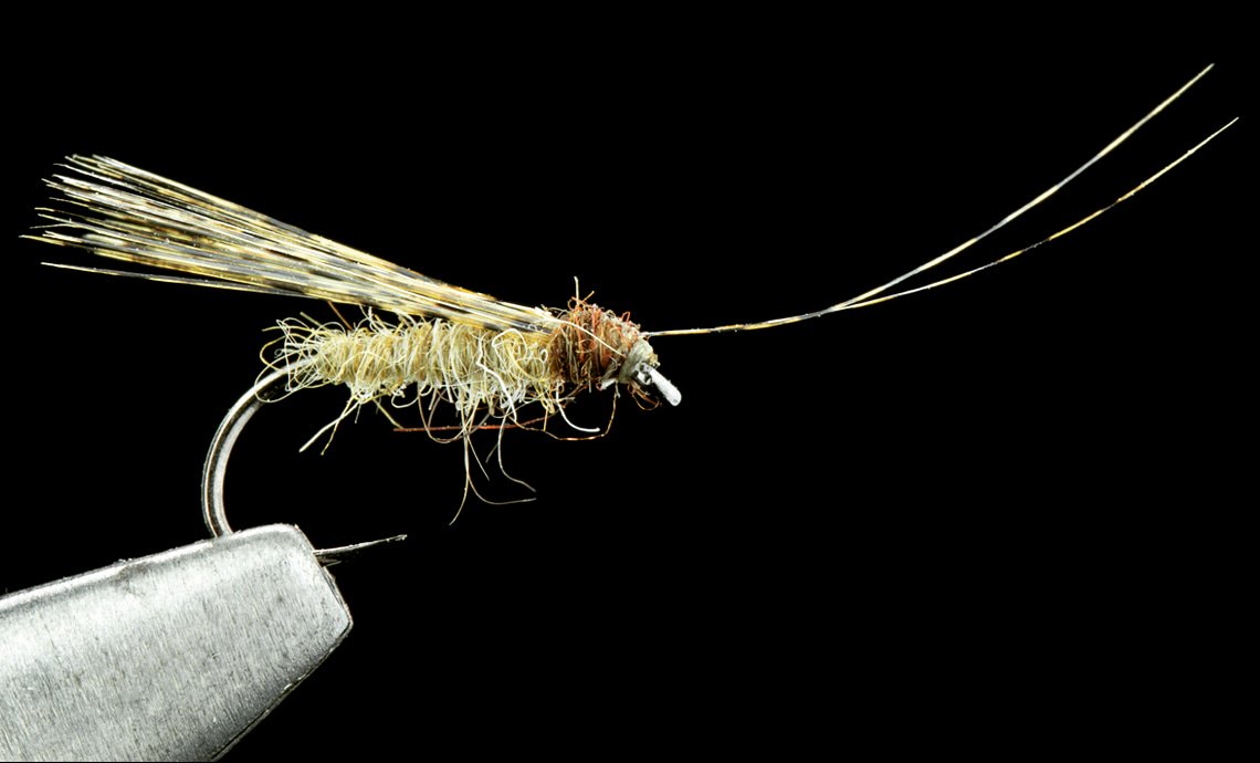 I've just published a new article in the journal bit.ly/2R9Y4Fq different uses for Gallos de Leon including a series of flies tied by <a href="/jdhoyle27/">Jonathan D Hoyle</a>