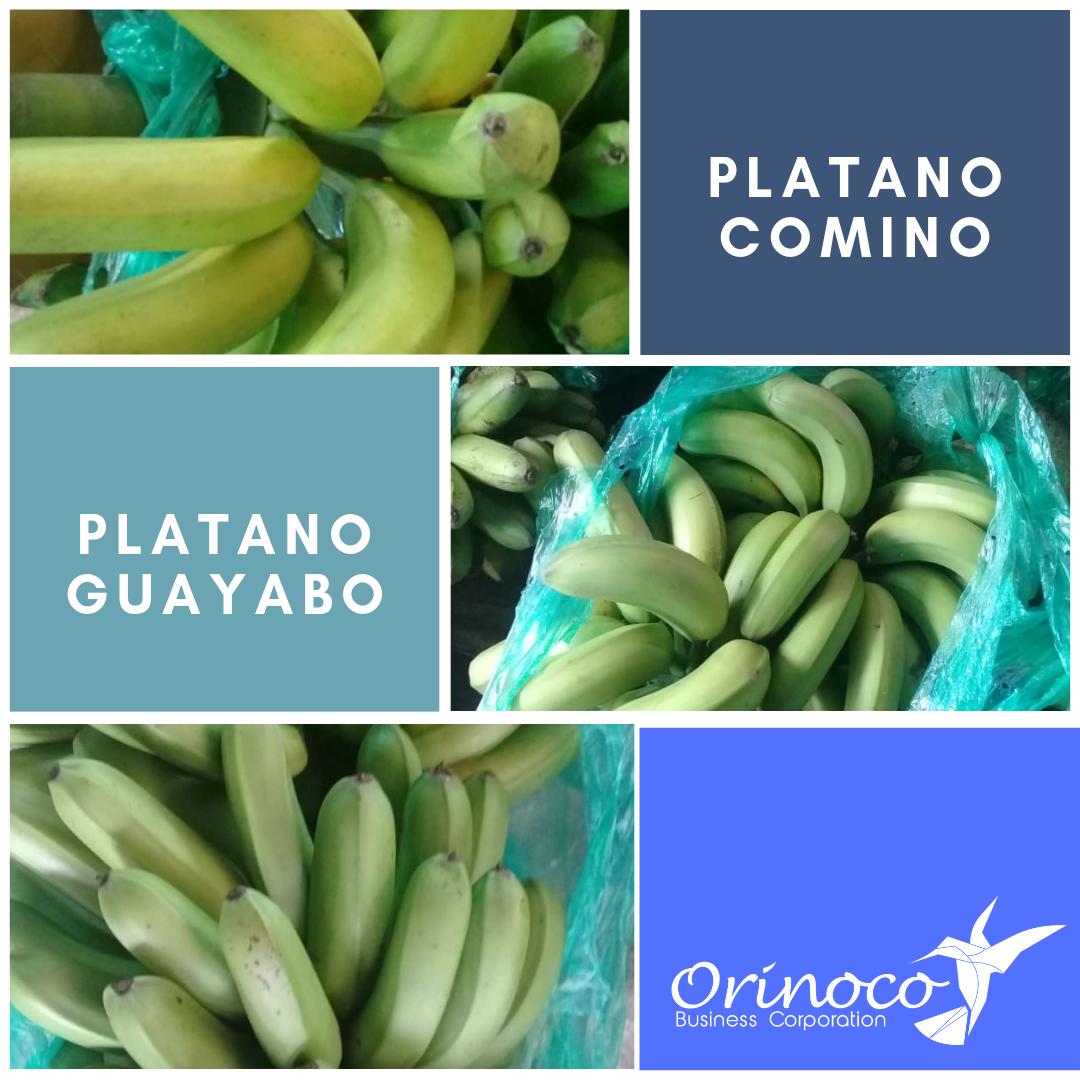 BusinessOrinoco's tweet photo. PLATANO COMINO O GUAYABO - EXCELENTE CALIDAD 🌴🌴 🍌🍌🍌🍌🌎 . .
,
,
, “Da siempre lo mejor de ti. Lo que plantees ahora, lo cosecharás más tarde.” . .🙏💚💙💛
.
.
.
.

#PLATANO #AGRONEGOCIO #CORABASTOS #AGROCOLOMBIANO #comidasaludable https://t.co/rP1U1erolF