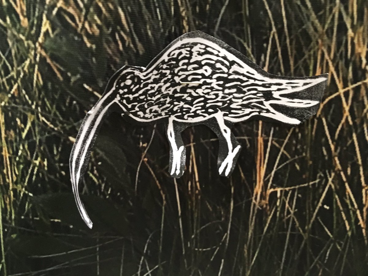 Ensemble Team tweet media