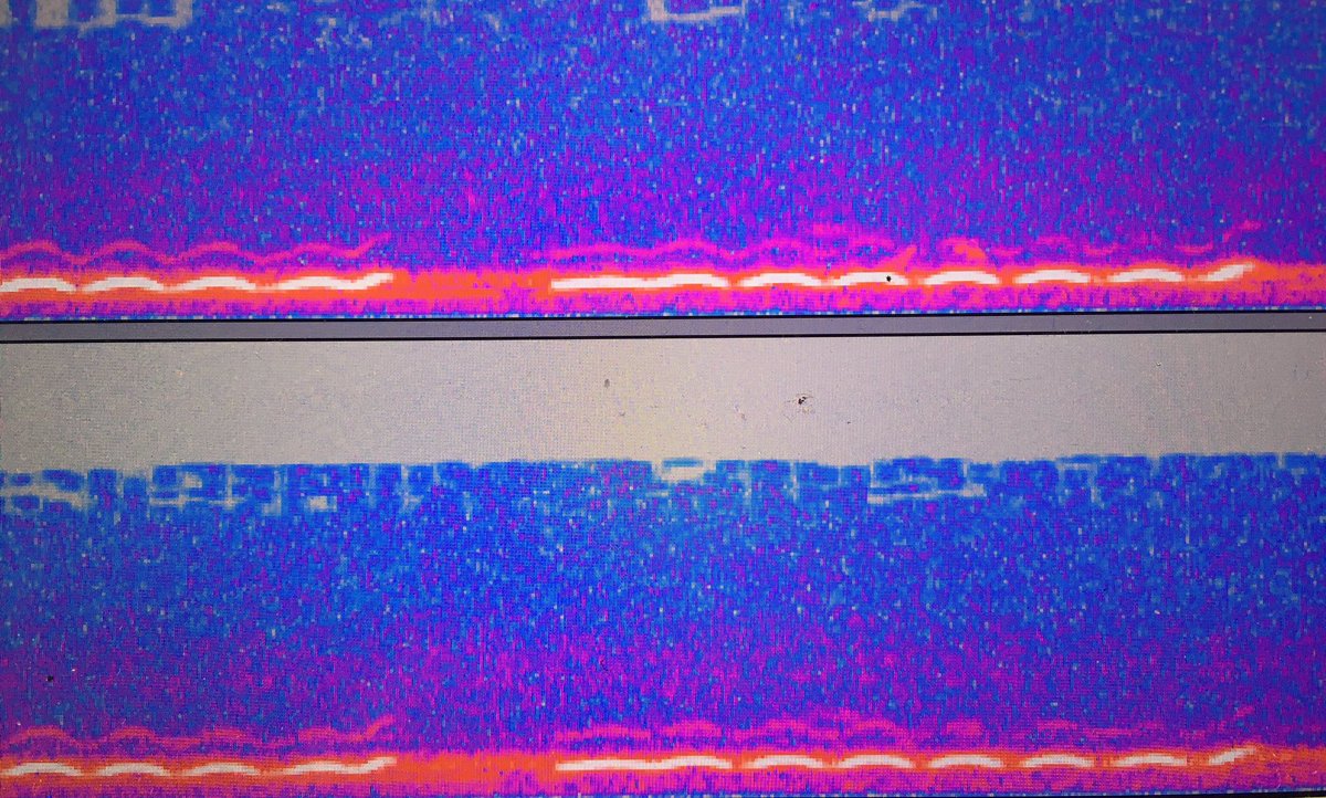 Ensemble Team tweet media