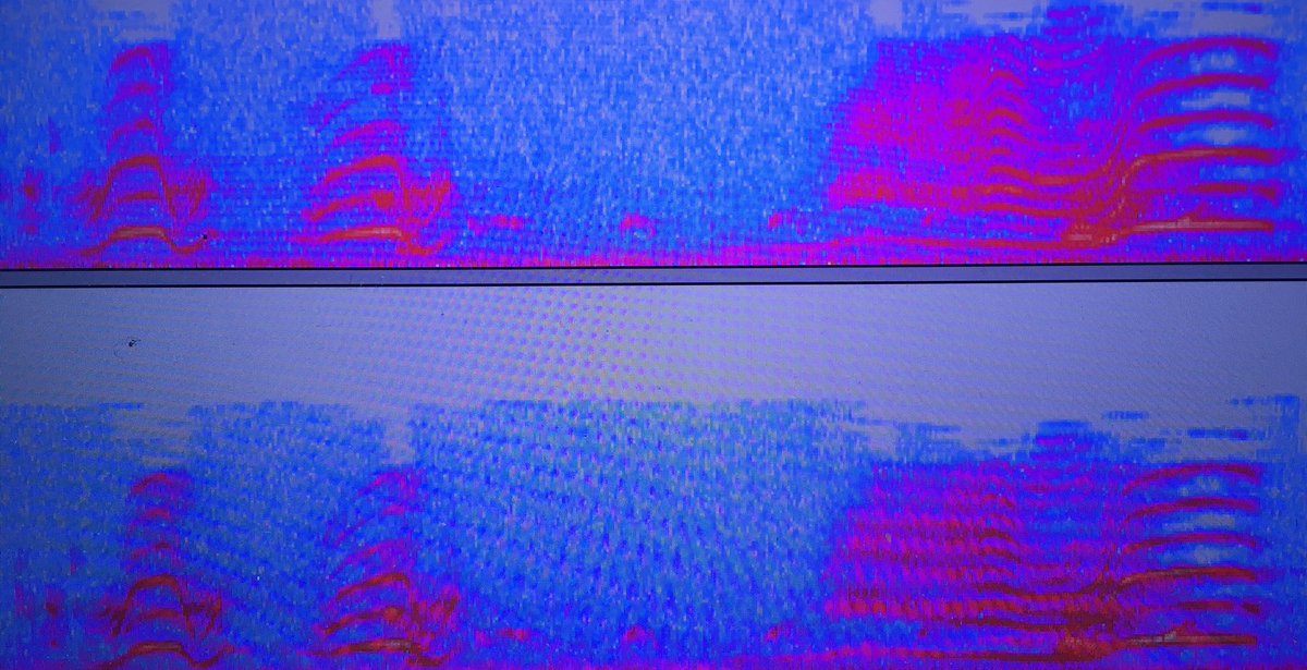 Ensemble Team tweet media