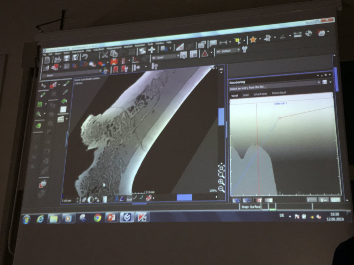 CometYxlon's tweet photo. The colleagues from @volume_graphics give insightful tips to improve volume data segmentation with #VGStudio at #ImagingTechnologySymposium. @mfnberlin @CTlab_MfNBerlin https://t.co/YCWFLp84Al