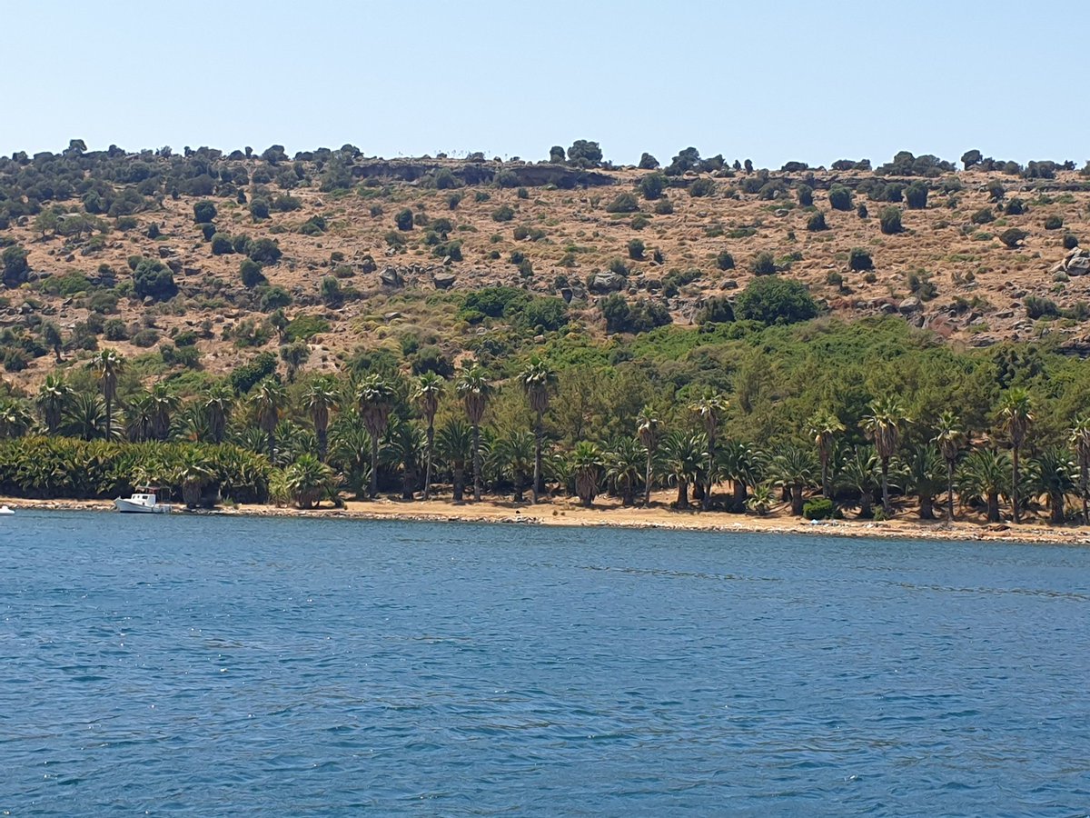 bigsilverback9's tweet image. My view for today