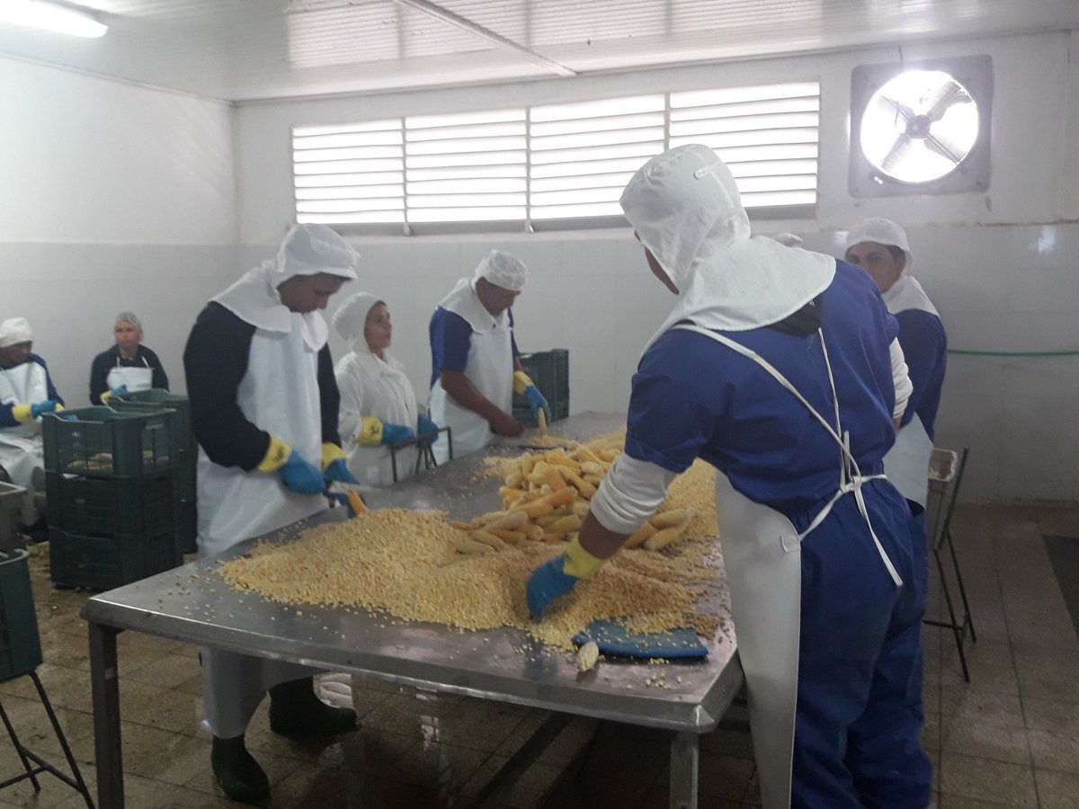 GobCamaguey's tweet photo. En visita gubernamental a #SantaCruzDelSur #Camagüey presidente @DiazCanelB intercambia con trabajadores de planta de producciones agroalimentarias de Empresa Pesquera Industrial; un ejemplo de diversificación con 31 productos a partir de frutas, mariscos y vegetales
@IsaGlezCmg https://t.co/ZTqn8HTFGf