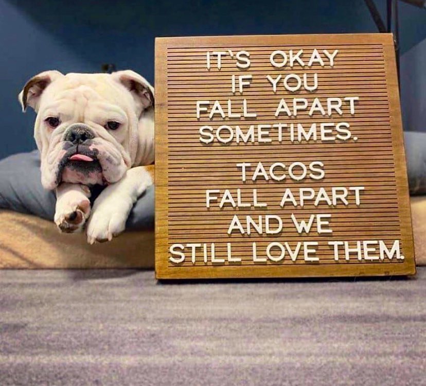 nic_f_roberts's tweet photo. You Guys,
It’s OK if you fall apart sometimes. 
Tacos fall apart and we still love them.

🐶❤️🌮🐶❤️🌮🐶❤️🌮🐶❤️🌮
#bulldog #wisdom #tacos https://t.co/TcCidphRPC