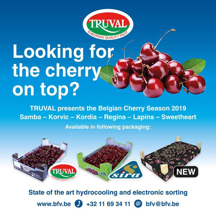 Betty Slingers tweet media